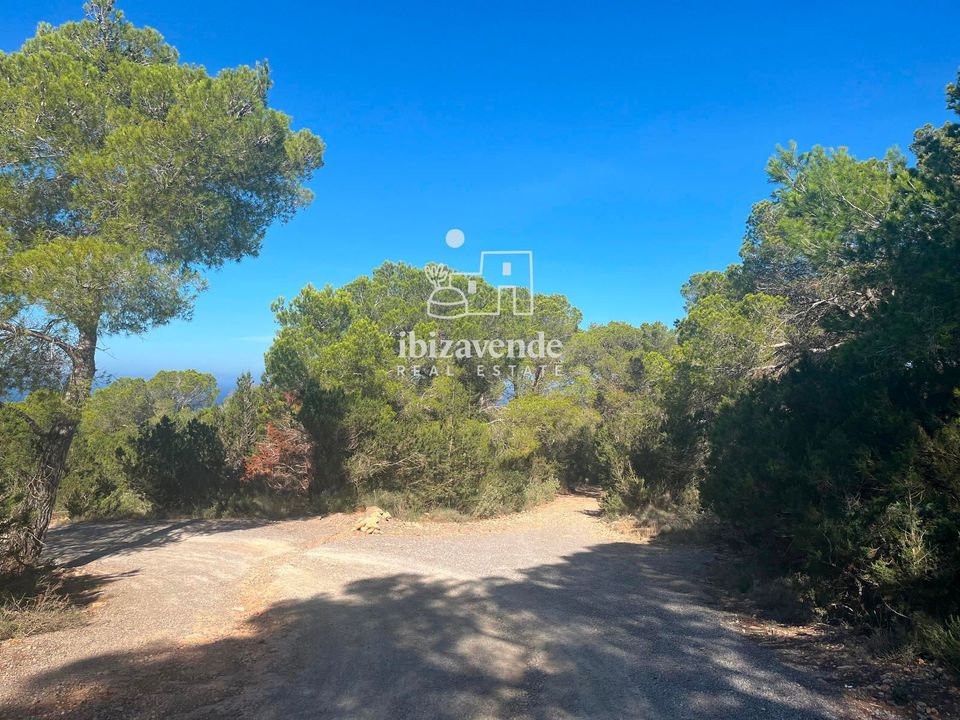 Finca i Sant Josep de sa Talaia, Ibiza - foto 3