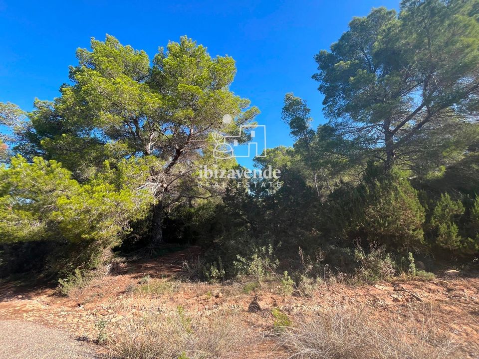 Finca i Sant Josep de sa Talaia, Ibiza - foto 4