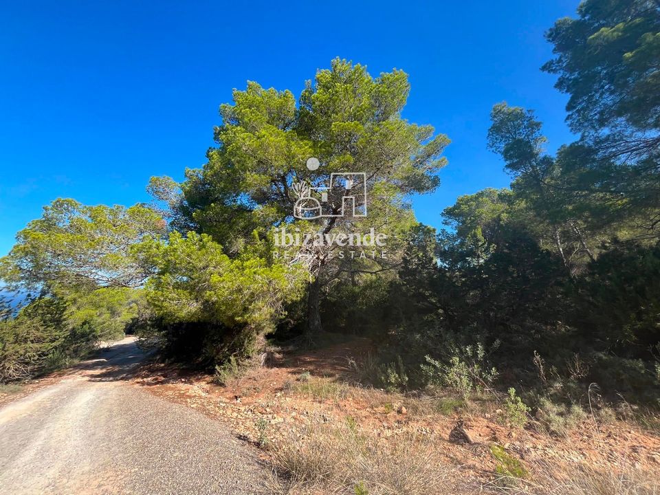 Finca i Sant Josep de sa Talaia, Ibiza - foto 5