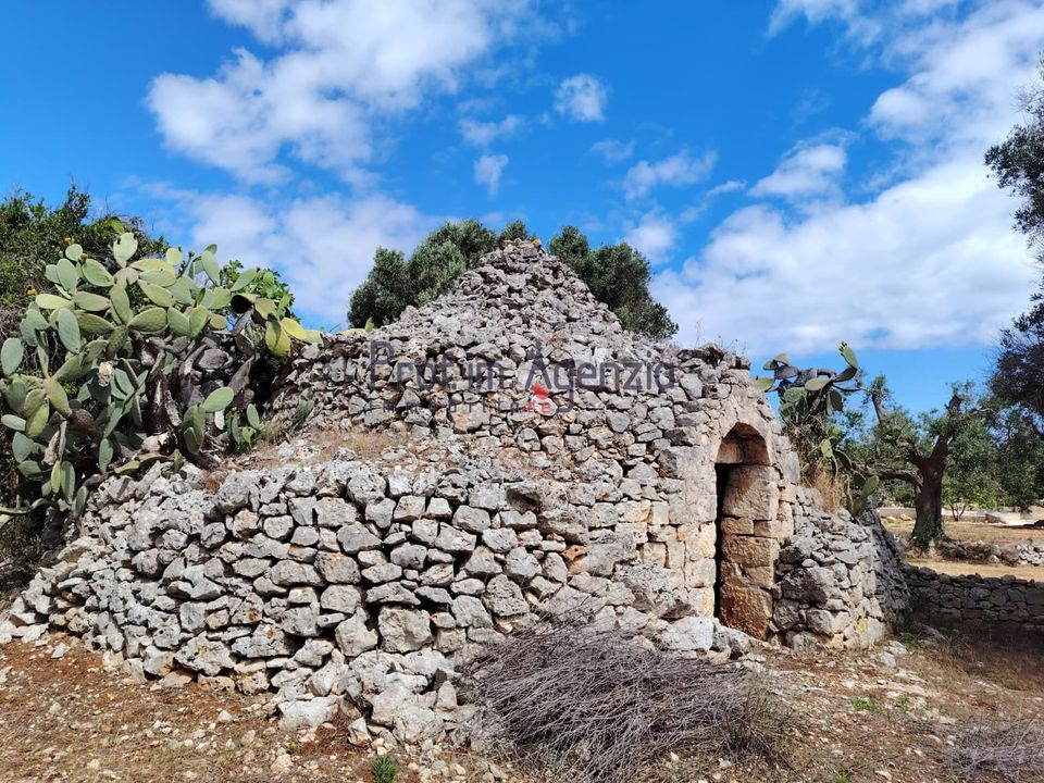 Landejendom i San Vito dei Normanni, Brindisi - foto 3