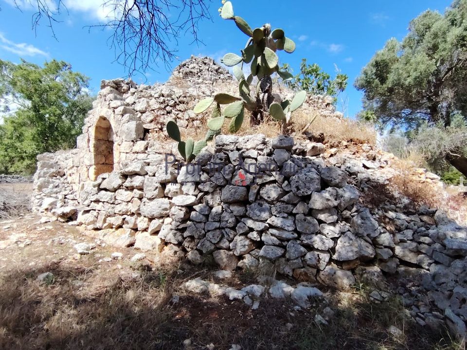 Landejendom i San Vito dei Normanni, Brindisi - foto 4