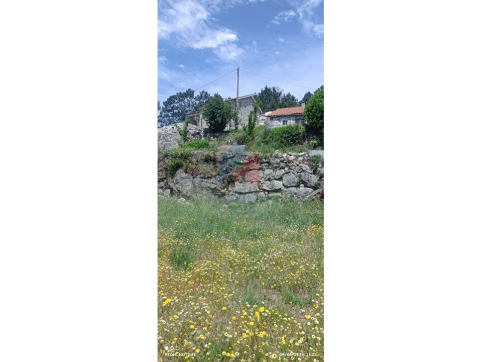 Herregård i Vila Carvalho, Castelo Branco - bilde 5
