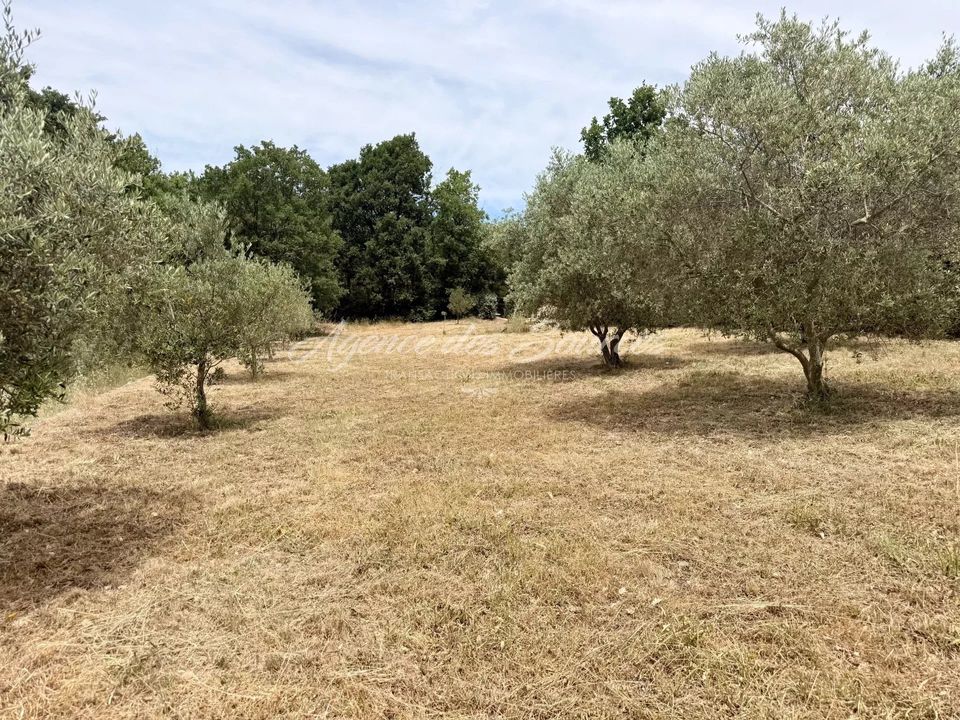 Helårsgrund i Brue-Auriac, Var - foto 1
