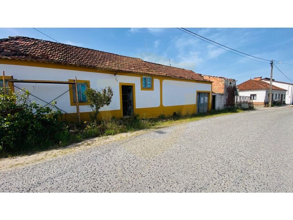 Herregård i Colmeias, Leiria - bilde 1