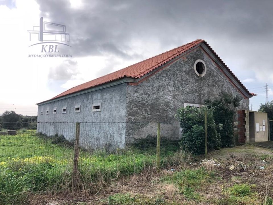 Farm i Atouguia da Baleia, Leiria - foto 3
