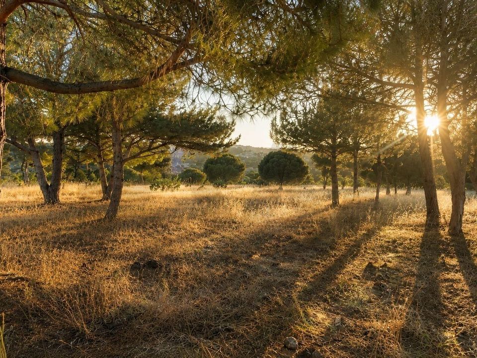 Helårsgrund i Carvoeiro, Faro - foto 1