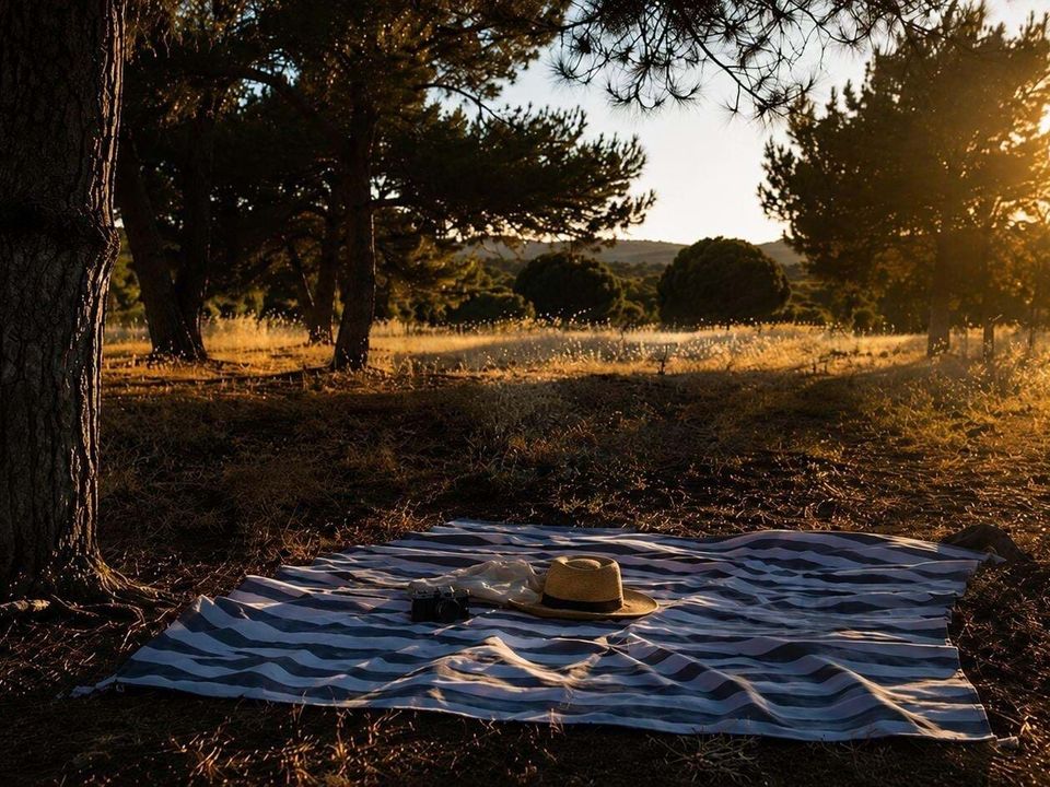 Helårsgrund i Carvoeiro, Faro - foto 5