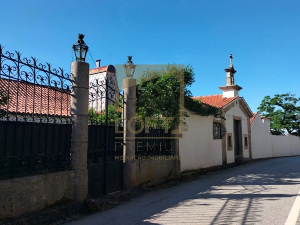 Farm i Lamego, Viseu - foto 1