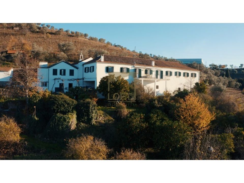 Farm i Lamego, Viseu - foto 2