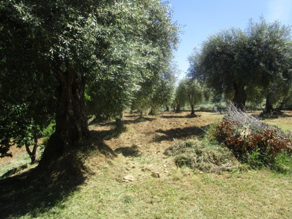 Helårsgrund i Macedo de Cavaleiros, Braganca - foto 3