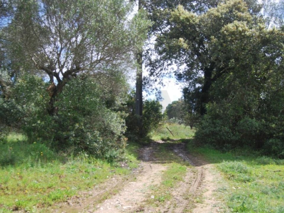 Helårsgrund i Torres Novas, Santarem - foto 2