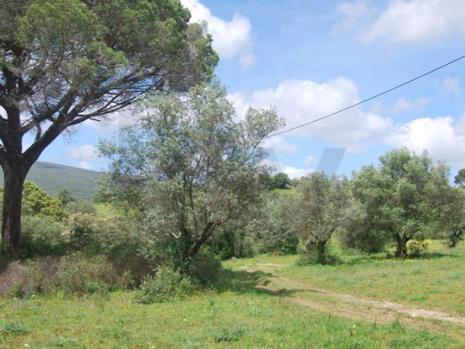 Helårsgrund i Torres Novas, Santarem - foto 5
