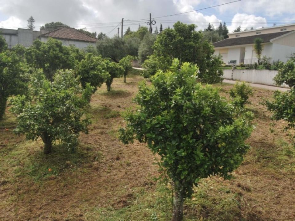 Helårsgrund i Torres Novas, Santarem - foto 1