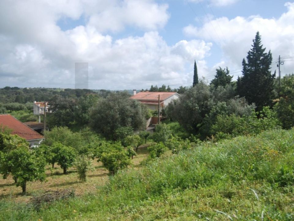 Helårsgrund i Torres Novas, Santarem - foto 2