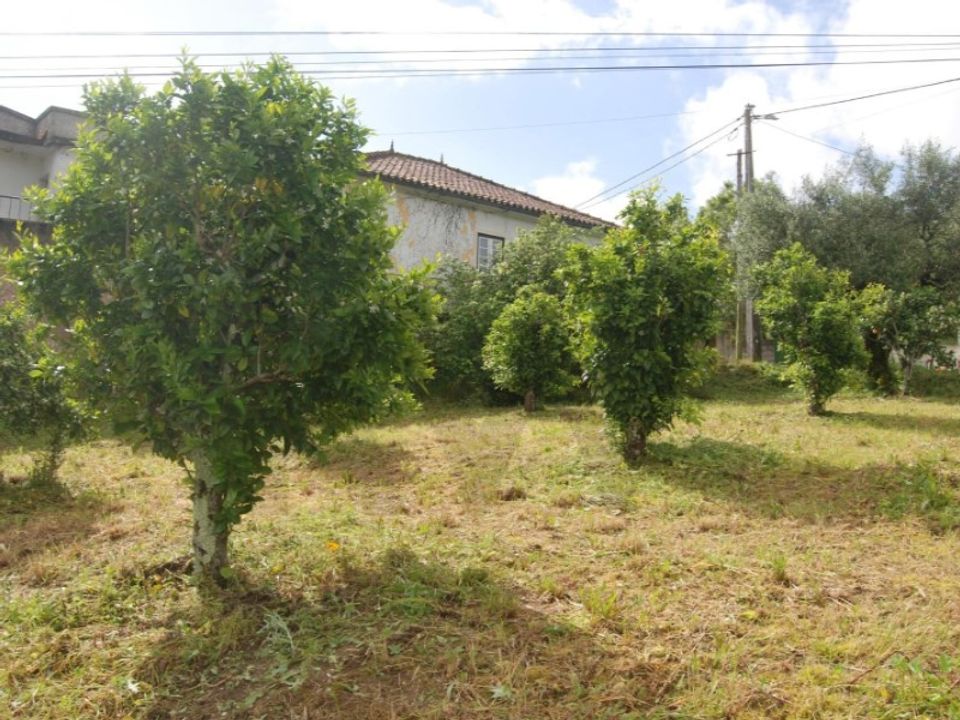 Helårsgrund i Torres Novas, Santarem - foto 3