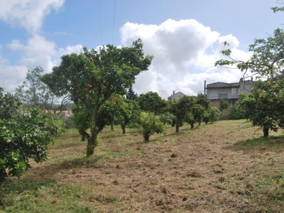 Helårsgrund i Torres Novas, Santarem - foto 4