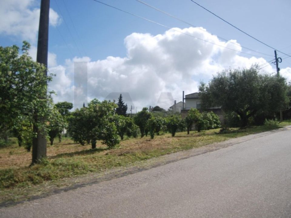 Helårsgrund i Torres Novas, Santarem - foto 5