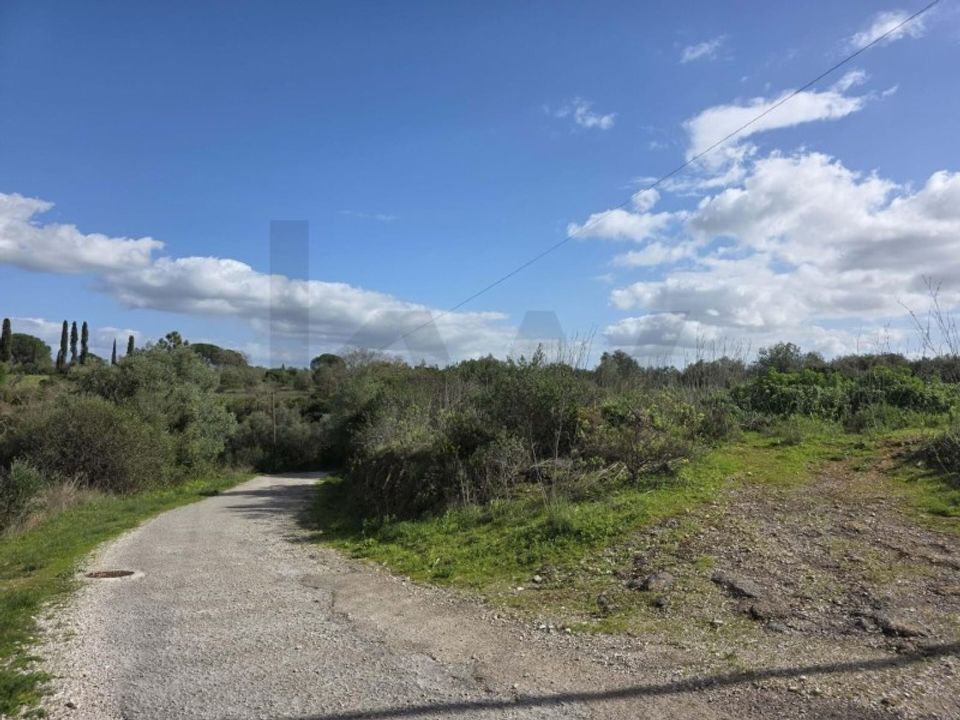 Helårsgrund i Torres Novas, Santarem - foto 1