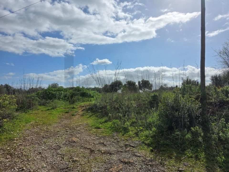 Helårsgrund i Torres Novas, Santarem - foto 2