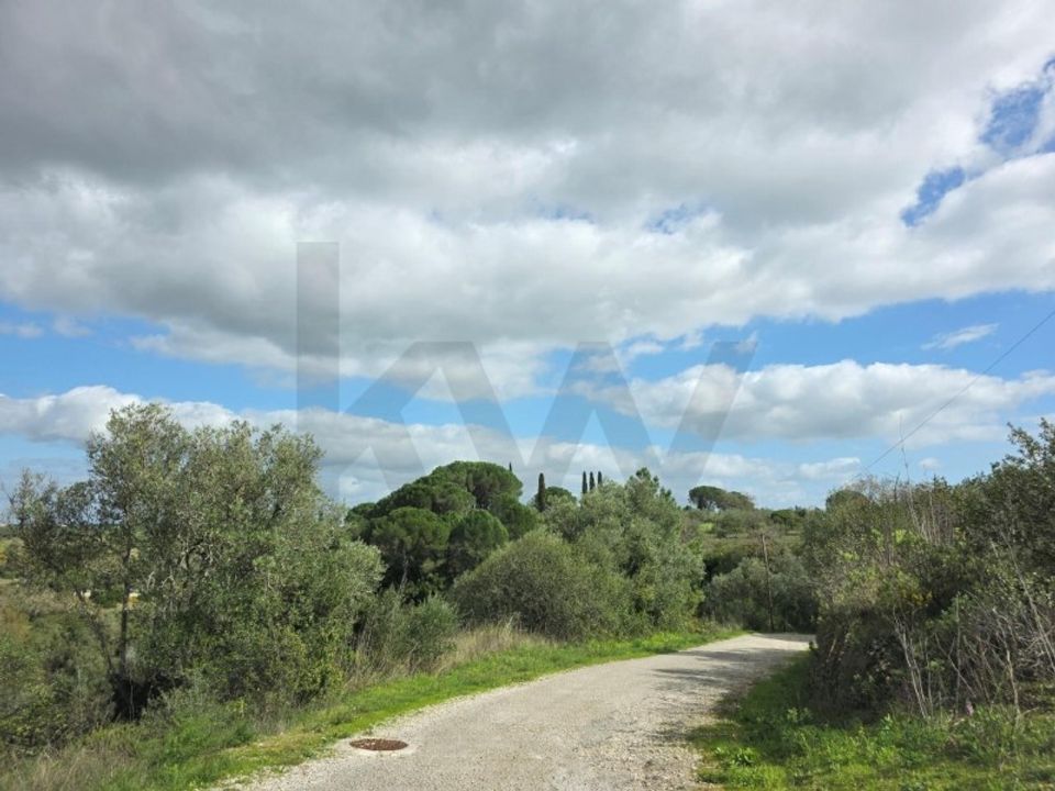 Helårsgrund i Torres Novas, Santarem - foto 3