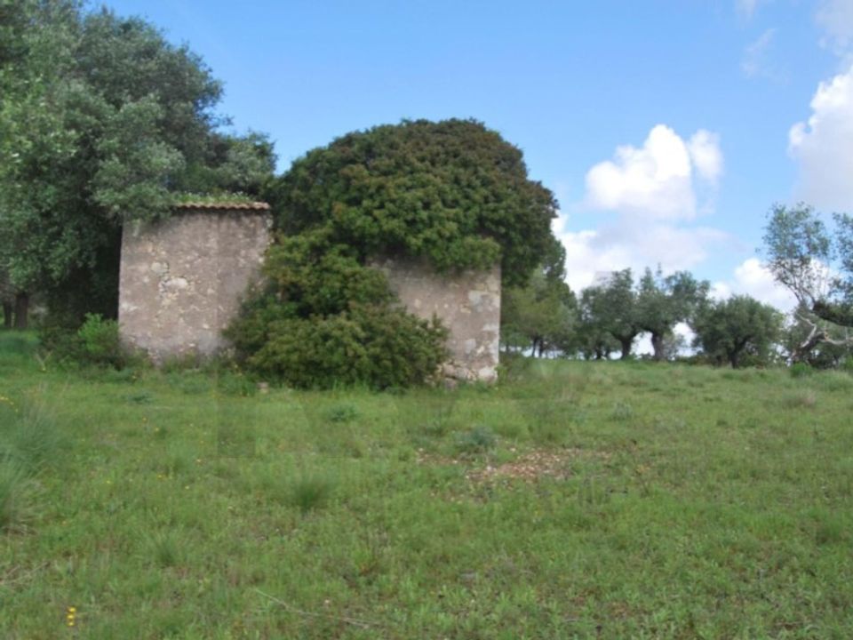 Helårsgrund i Torres Novas, Santarem - foto 1