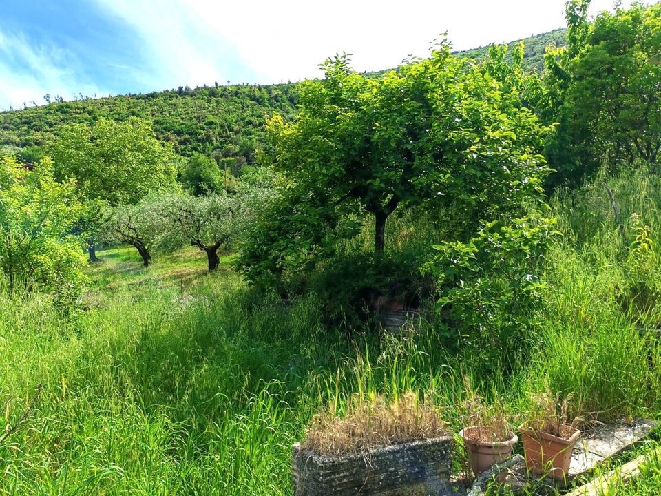 Villa a Segni, Rome - foto 4