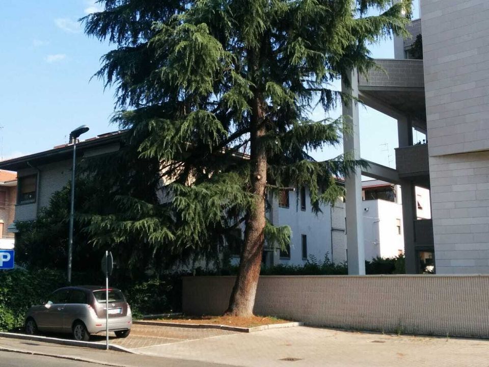 Apartament a Parma, Parma - foto 4