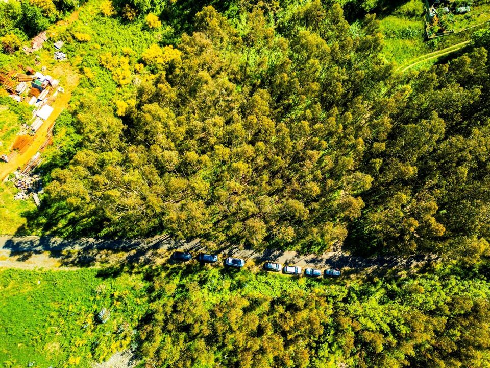 Helårsgrund i Santa Cruz, Madeira - foto 5