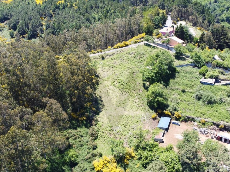 Helårsgrund i Santa Cruz, Madeira - foto 2