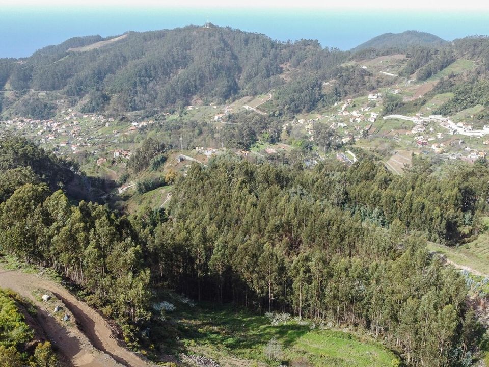 Helårsgrund i Camara de Lobos, Madeira - foto 2