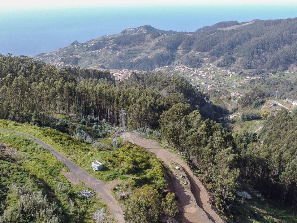 Helårsgrund i Camara de Lobos, Madeira - foto 3