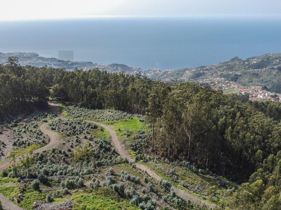 Helårsgrund i Camara de Lobos, Madeira - foto 5