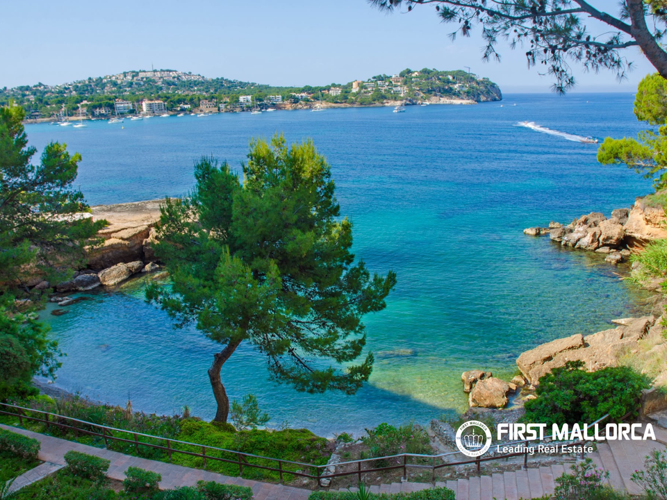 Leilighet i Santa Ponsa, Mallorca - bilde 3