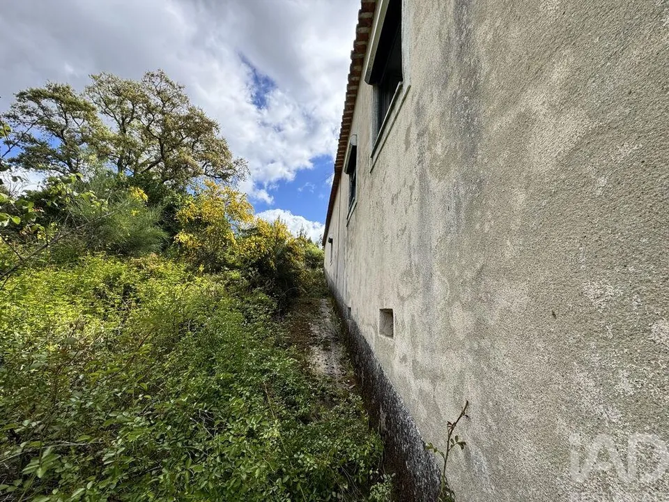 Dom szeregowy: Gois, Coimbra – zdjęcie 3