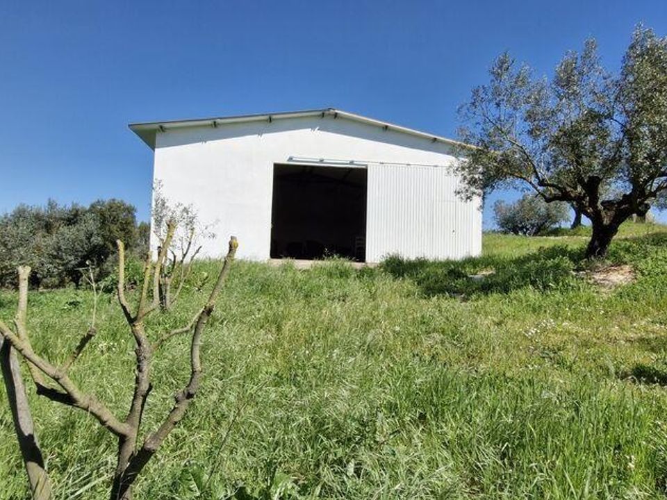 Terra a Rio Maior, Santarem - foto 1