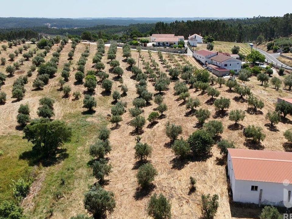 Terra a Rio Maior, Santarem - foto 3