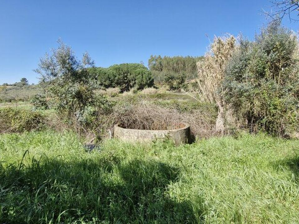 Terra a Rio Maior, Santarem - foto 4