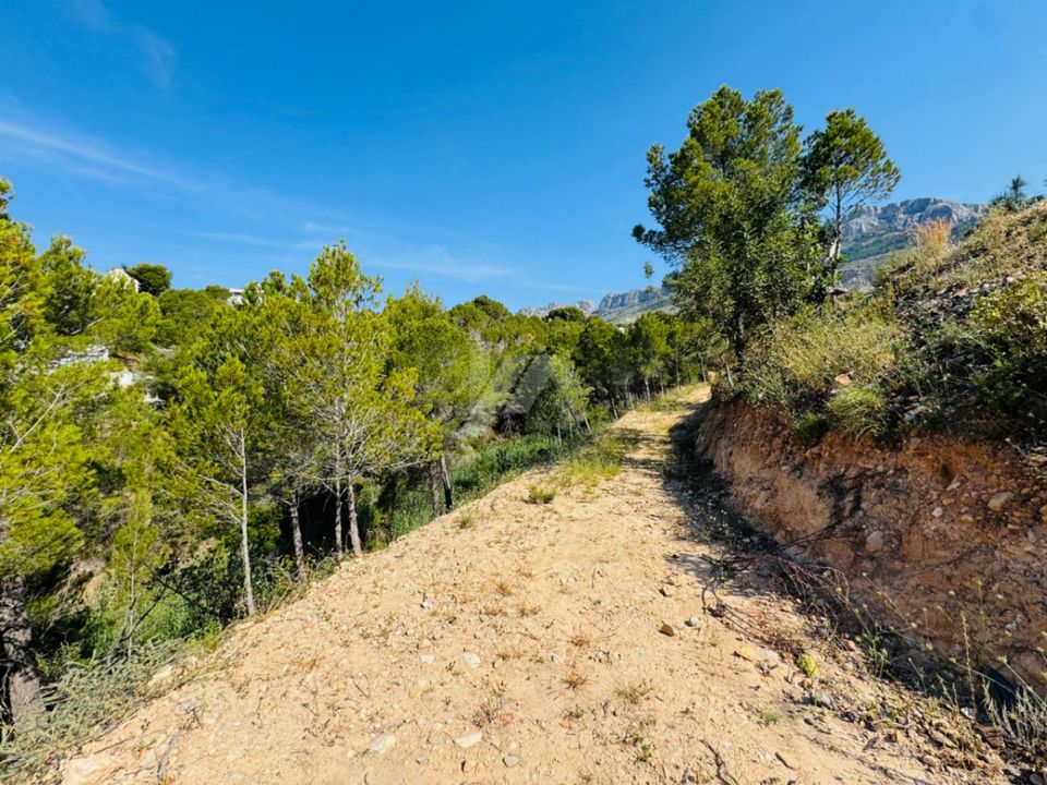 Helårsgrund i Altea, Alicante - foto 3