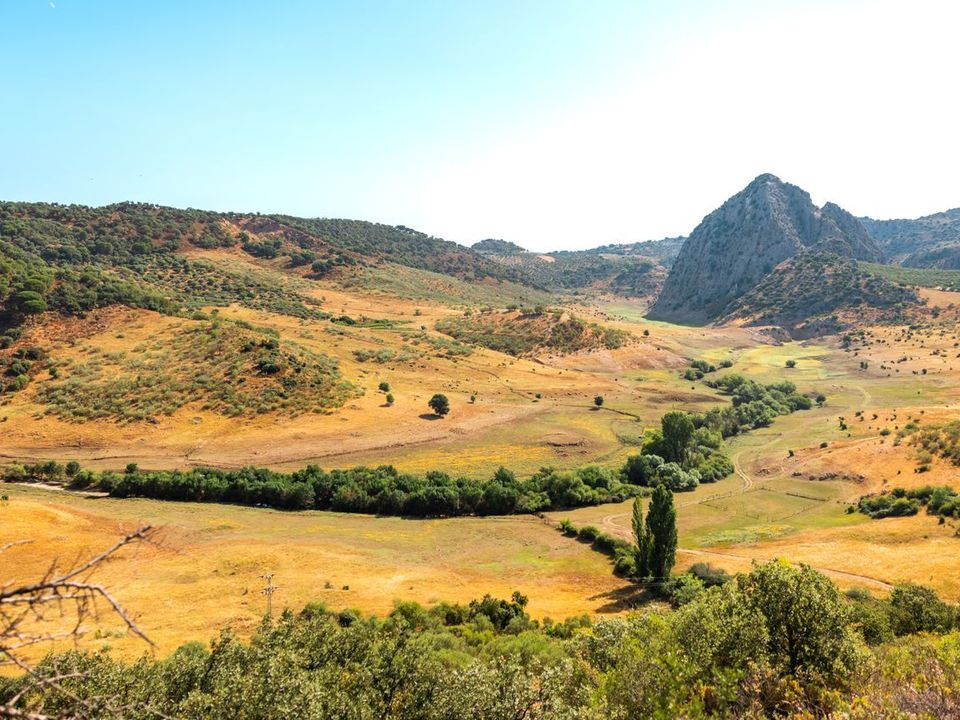 Erhvervsejendom i Montejaque, Malaga - foto 4