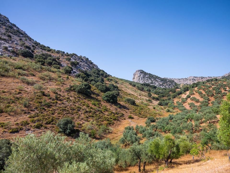 Erhvervsejendom i Montejaque, Malaga - foto 5