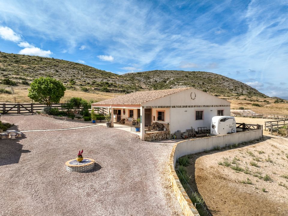 Landejendom i Pinoso, Alicante - foto 4