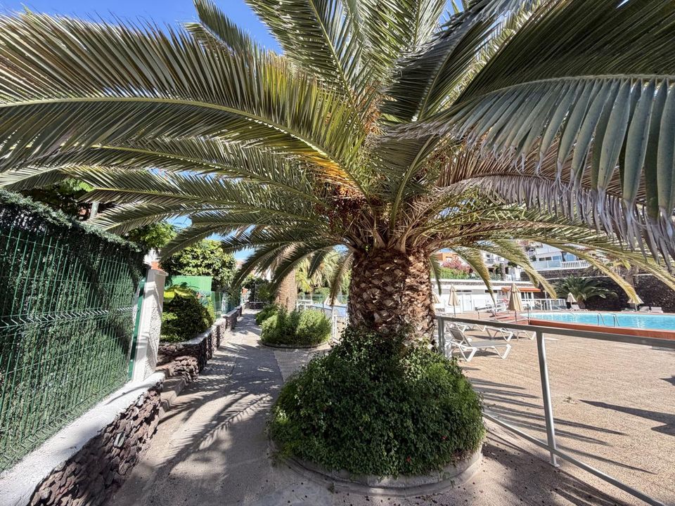 Villa i Sonnenland, Gran Canaria - foto 5