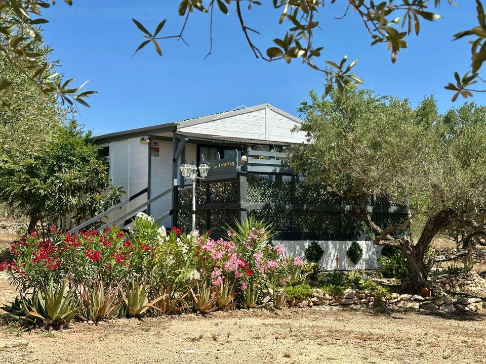 Villa in L'Ampolla, Tarragona - foto 3