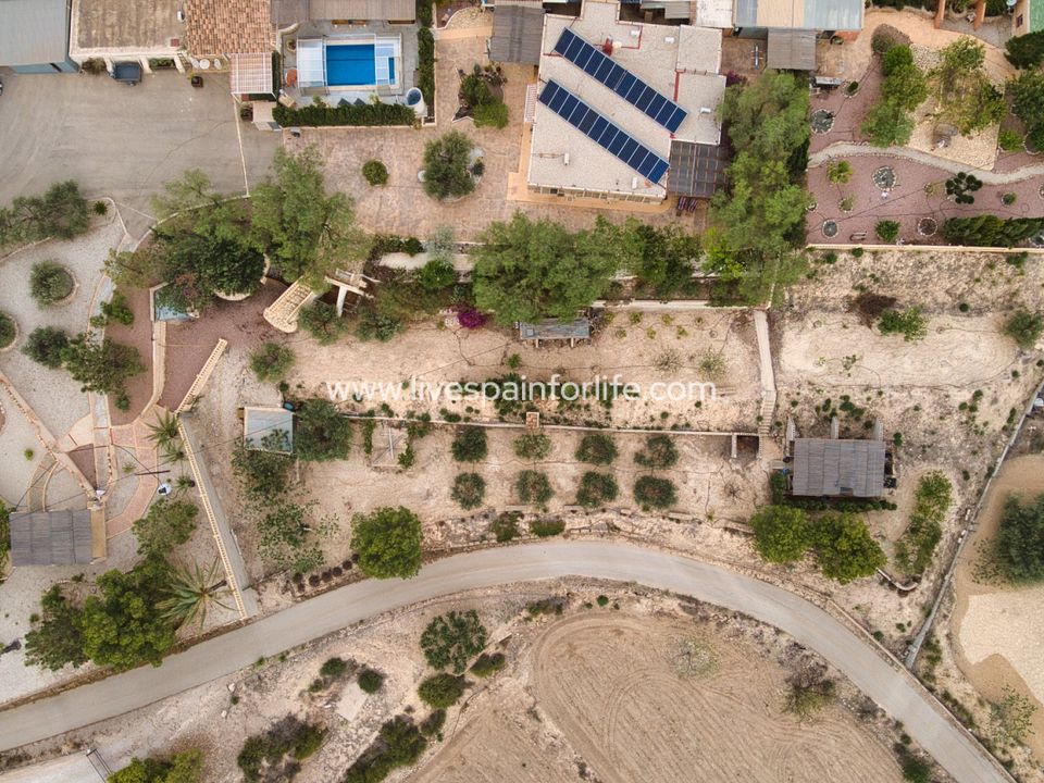 Landejendom i Crevillent, Alicante - foto 4