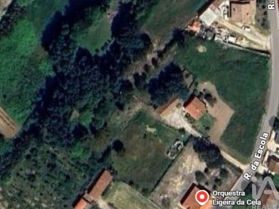 Terreno en Alcobaca, Leiria - foto 3