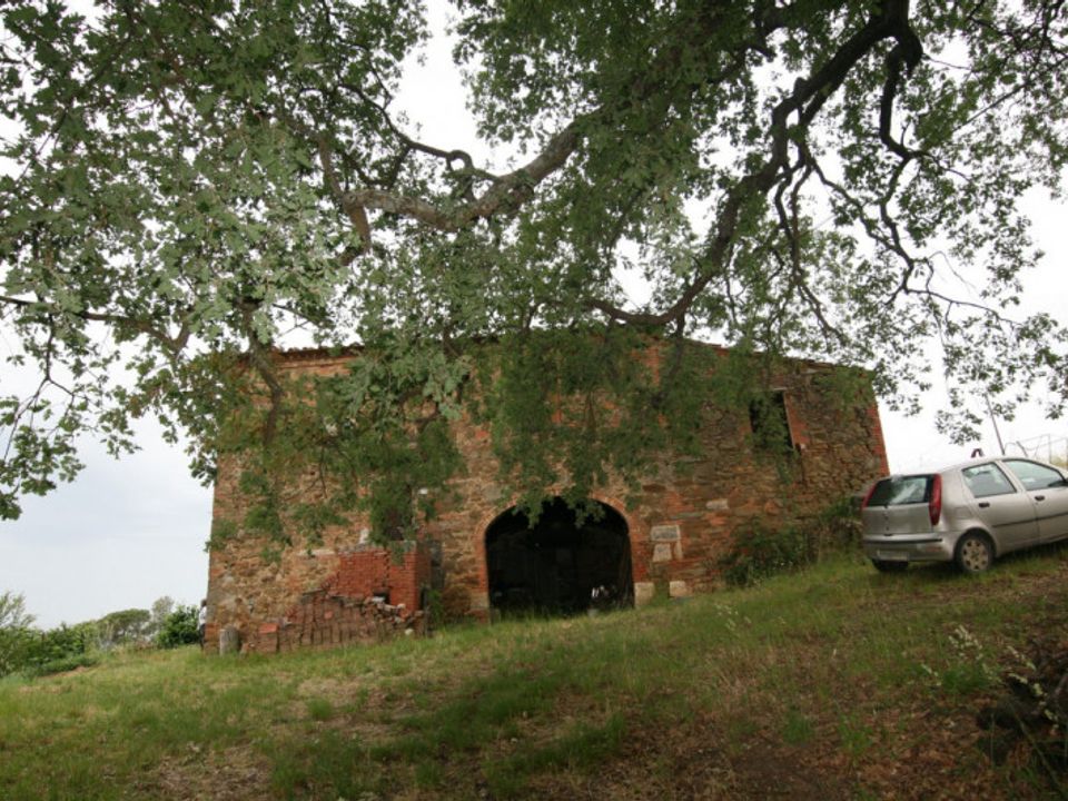 Masia a Trequanda, Siena - foto 4