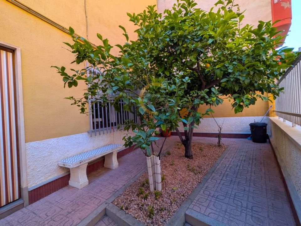 Farm hus i Monovar, Alicante - foto 5