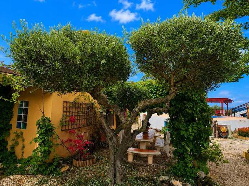 Landhuis in Chella, Valencia - foto 4