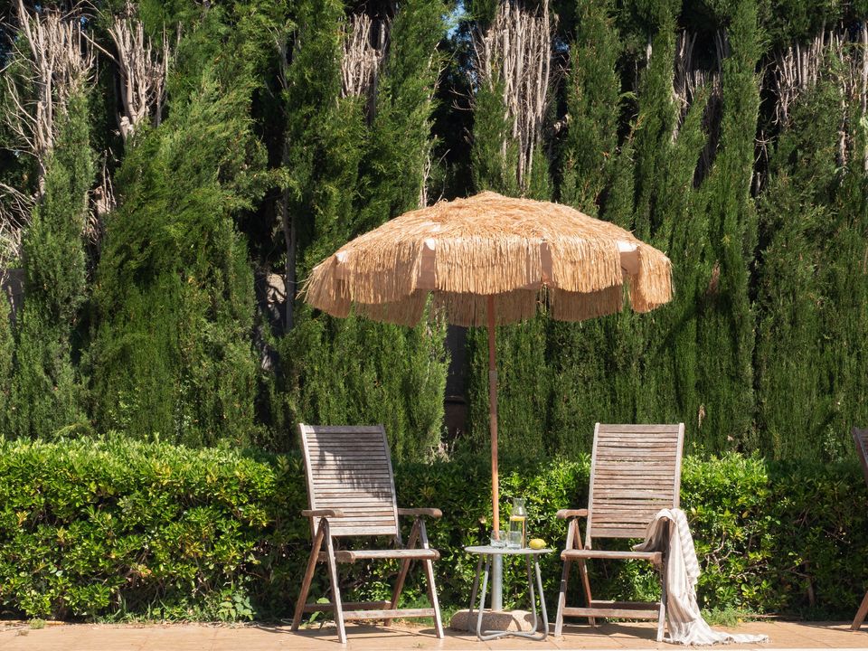 Finca i Inca, Mallorca - foto 4