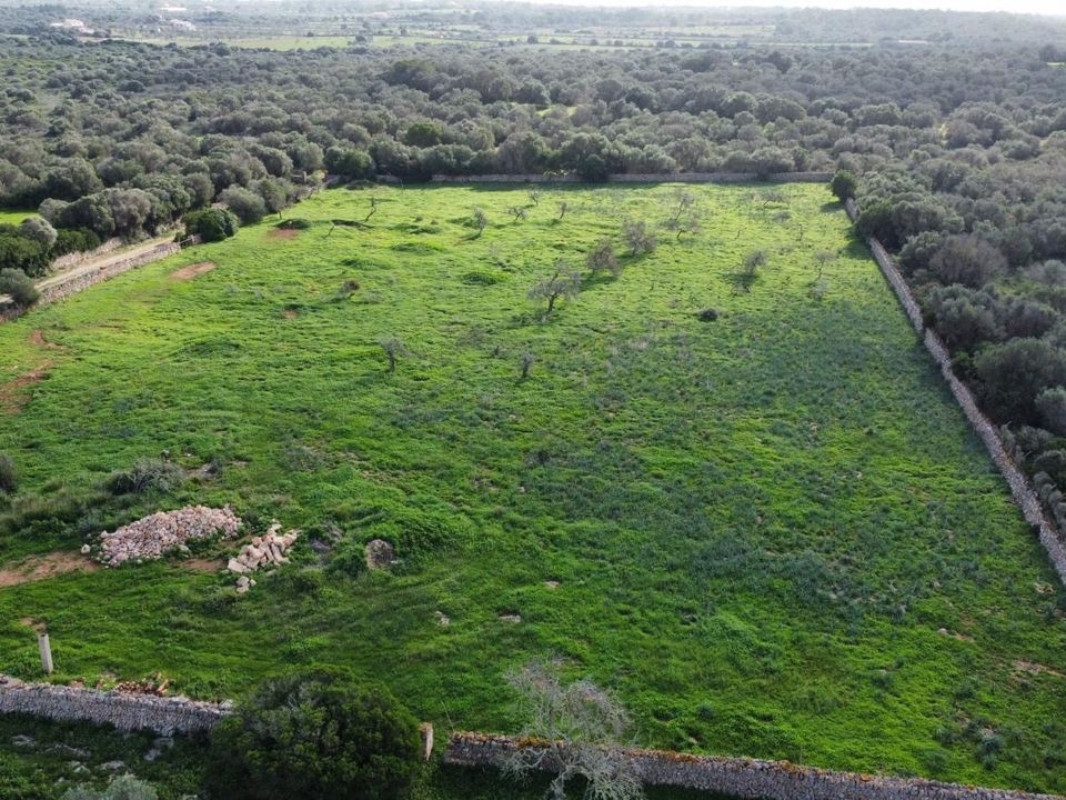 Helårsgrund i Ses Salines, Mallorca - foto 1
